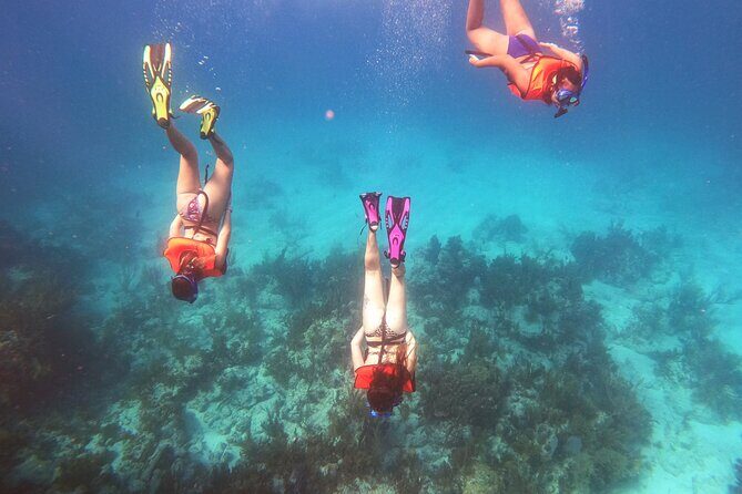 Key Largo Two Reef Snorkel Tour - All Snorkel Equipment Included! - The Practicalities: Price, Duration, and Booking