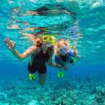 Key West: Dolphin Watching cruise & Snorkeling unlimited beer & soda - The Practical Side: Price & Value
