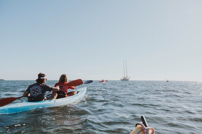 Key West Full-Day Ocean Adventure: Kayak, Snorkel, Sail - The Downside? Considerations for Travelers