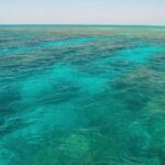 Key West Reef Snorkel & Sail Adventure - Who Might Love This Tour