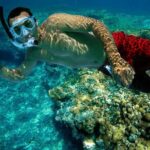 Key West Rum and Reggae: Reef Snorkel Adventure and Sunset Sail - Whats Included and Whats Not