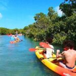 Key West Sandbar Charter With Kayak Tour: Includes Lunch & Drinks - Who Will Love This Tour?