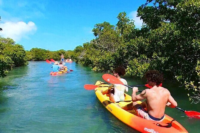 Key West Sandbar Charter With Kayak Tour: Includes Lunch & Drinks - Who Will Love This Tour?