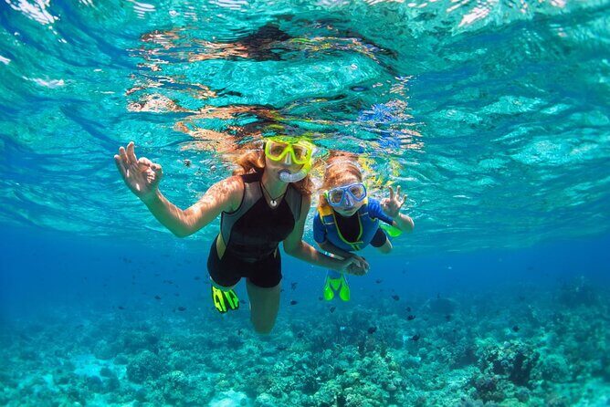 Key West Sunset Snorkel with Unlimited Draft Beer & Wine - The Experience from the Reviews