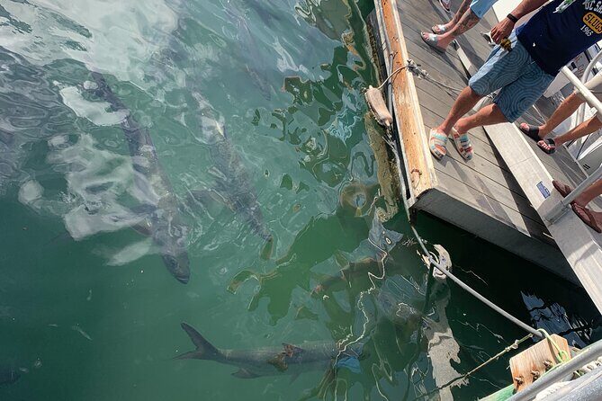 Key West Waterfront Cocktail Walk to Mallory Squares Sunset Celebration! - The Sum Up