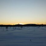 Kierinki Village: Snowmobile Sleigh Ride with Guide - The Itinerary in Detail