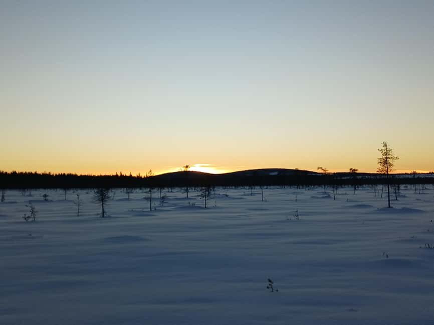 Kierinki Village: Snowmobile Sleigh Ride with Guide - The Itinerary in Detail