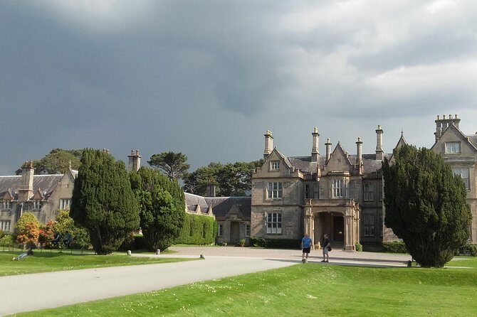 Killarney Valley & National Park - Private Tour - The Experience from the Reviews