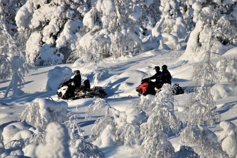 King of Ylläs: Snowmobiling to the Hill - What the Price Gets You