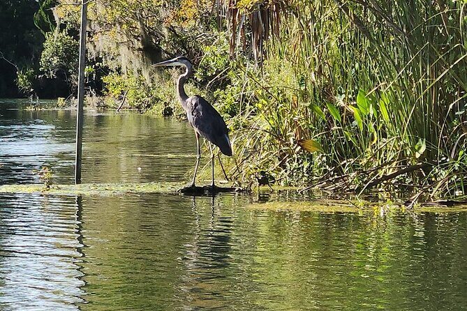 King's Bay Sunset Cruise - Price and Value