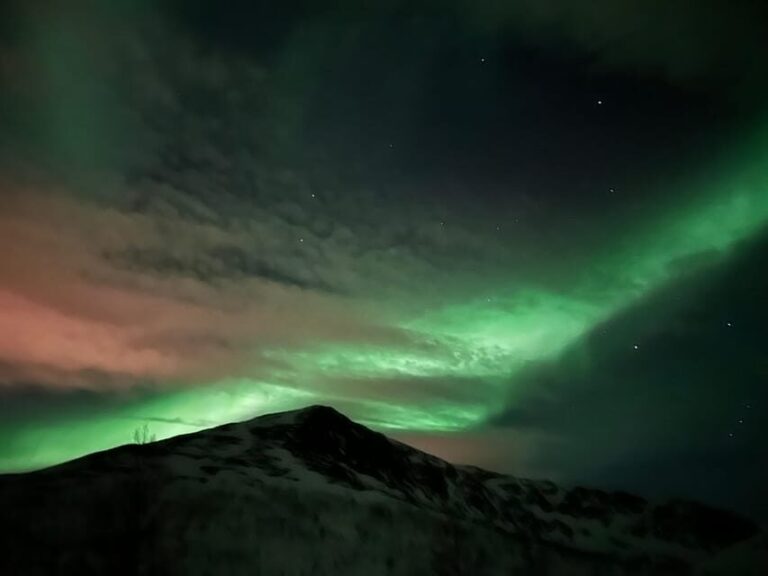 Kirkenes: Northern Lights Chase Tour - Key Points
