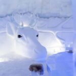 Kirkenes: Snowhotel Entrance Ticket - The Animal Encounters and Scenery