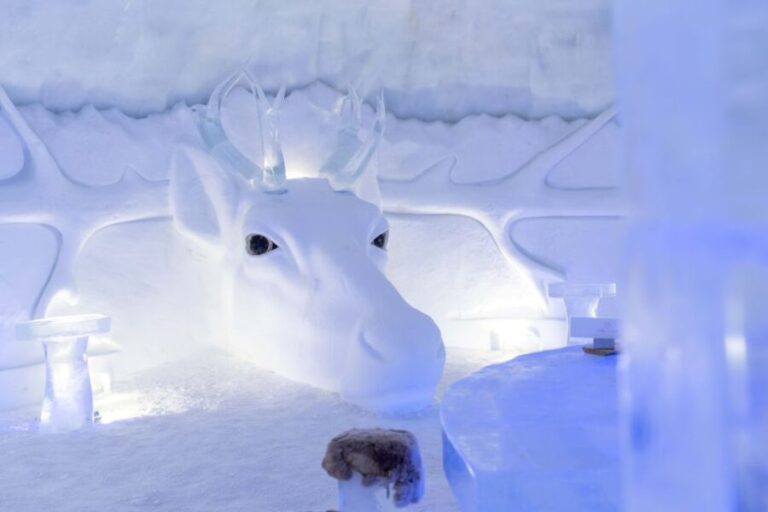 Kirkenes: Snowhotel Entrance Ticket - The Animal Encounters and Scenery