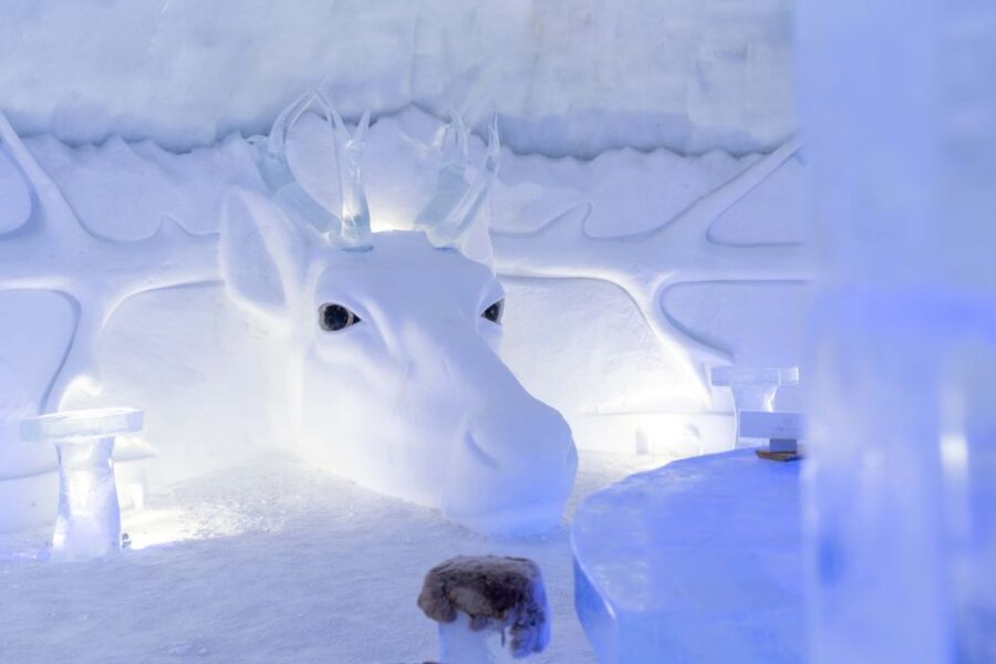 Kirkenes: Snowhotel Entrance Ticket - The Animal Encounters and Scenery