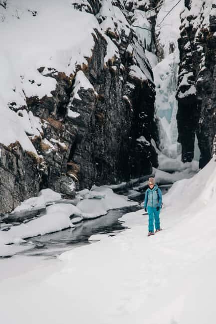 Kiruna: Abisko and Björkliden Day Trip with Lunch - Why This Tour Might Be Worth It