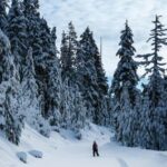 Kiruna: Daytime Snowshoe Hike - The Value of the Experience