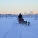 Kiruna: Guided Afternoon Drive Your Own Dog Sled Tour - The Value & Overall Impression