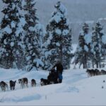 Kiruna: Morning Husky Sled Ride with Coffee Break - What’s Included and What’s Not