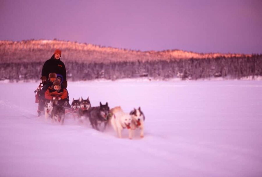 Kiruna: Northern Light Short Husky Tour with Coffee - The Huskies and the Guides