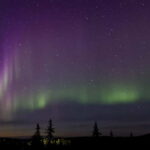 Kiruna: Northern Lights Dog Sled Tour with Swedish Fika - The Experiences Strengths and Possible Downsides