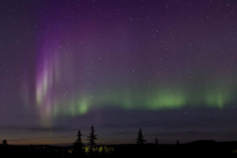 Kiruna: Northern Lights Dog Sled Tour with Swedish Fika - The Experiences Strengths and Possible Downsides