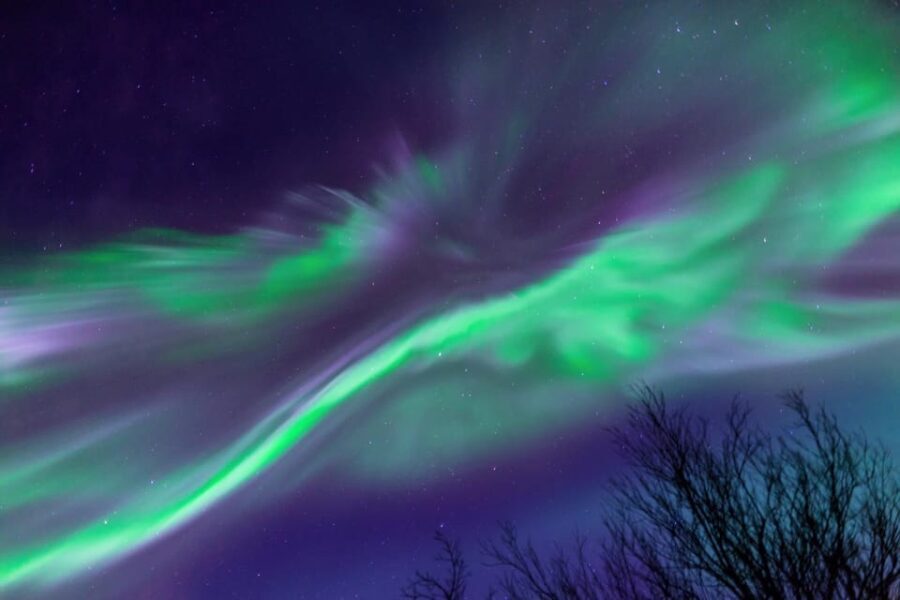 Kiruna: Northern Lights Minivan Chase with Warm Drink - The guides: what makes them special?