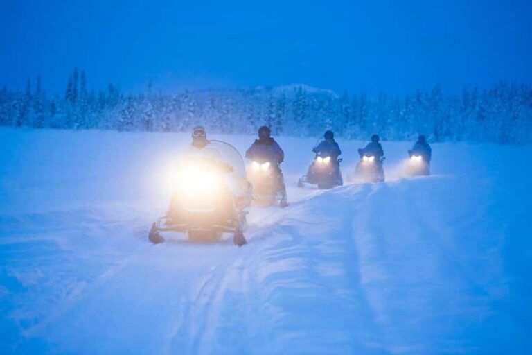 Kiruna: Northern Lights Snowmobile Tour with Transfer - What Travelers Say: Authentic Feedback