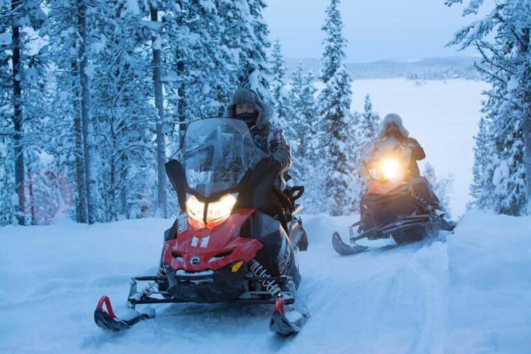 Kiruna: Overnight Snowmobile Tour with Dinner and Sauna - The Experience: What Our Research Tells Us