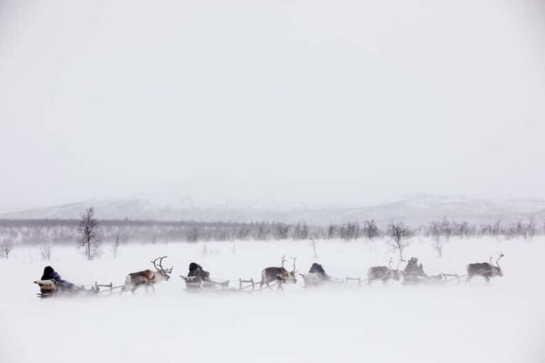 KIRUNA: Reindeer Sled Ride in the Countryside - Logistics and Practicalities