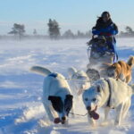 Kiruna: Self-drive Husky Morning Tour - Transportation & Duration