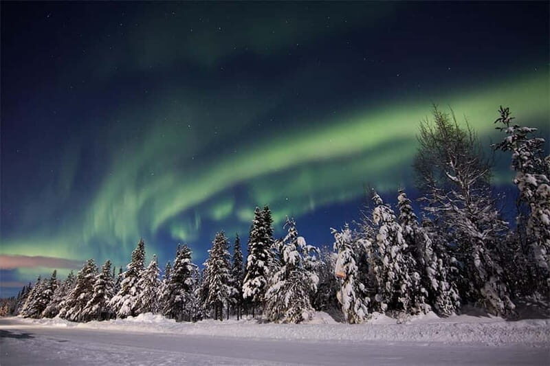 Kiruna: Snowshoe Trek with Aurora Hunt and Warm Beverage - Additional Details to Consider
