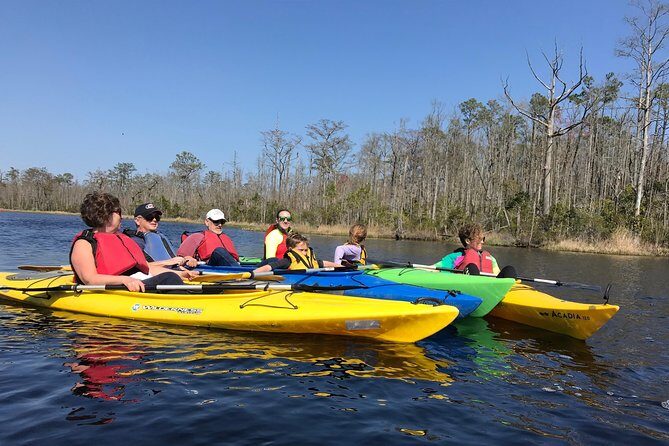 Kitty Hawk Maritime Forest Kayak Tour - The Details of the Experience