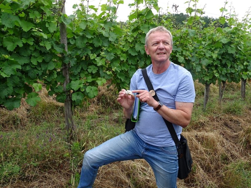 Koblenz: The Living Vineyard, Nature & Wine Enjoyment - Practical Details & Considerations