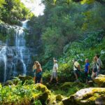 Kohala Waterfalls Small Group Adventure Tour - The Itinerary in Detail