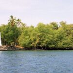 Kona Coast Cruise: Snorkel Kealakekua Bay & Dolphin Encounter - What’s Included and What You Need to Bring