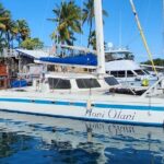 Kona Coastline Escape: Sail with Dolphins & Turtles on Honi Olani - Who Should Consider This Tour?