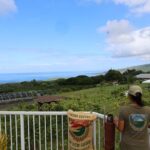 Kona Coffee Farm Tour from Tree to Tasting Room - The Garden of Fruit Trees