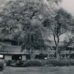 Kona Haunted Hele Ghost Tour - Who Is This Tour Best Suited For?