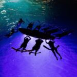 Kona Night Manta Snorkel Tour - Who Will Love This Tour?