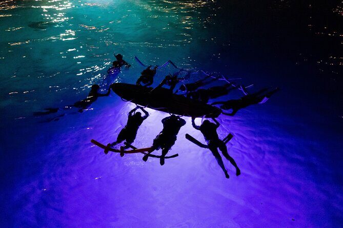 Kona Night Manta Snorkel Tour - Who Will Love This Tour?