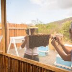 Kona Tour: Bee Farm, Kona Coffee, and National Historical Parks - What to Expect from the Kona Tour