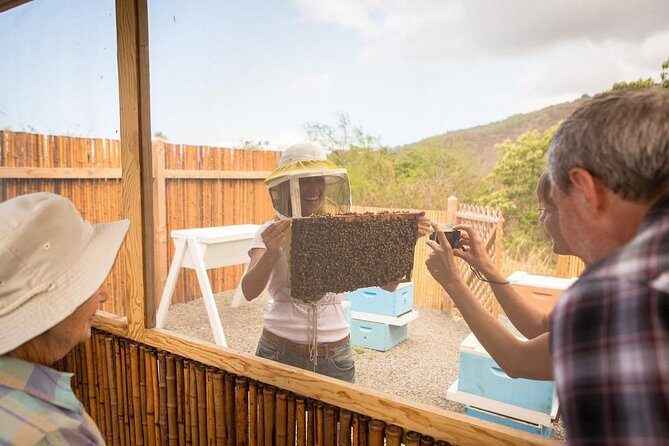 Kona Tour: Bee Farm, Kona Coffee, and National Historical Parks - What to Expect from the Kona Tour