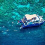 Konas Best Morning Snorkel: Captain Cook & Kealakekua Bay - The Snorkeling Experience in Kealakekua Bay