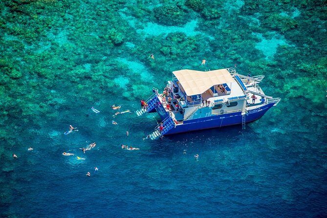 Konas Best Morning Snorkel: Captain Cook & Kealakekua Bay - The Snorkeling Experience in Kealakekua Bay