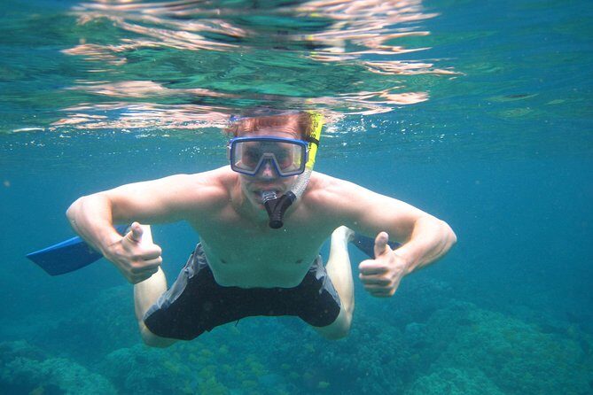 Kona's Deluxe Snorkel - Snorkel Captain Cook and Place of Refuge - Coastal and Marine Highlights