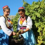 Konavle Valley: Private Half-Day Tour with Wine Tasting - What’s in the Cost and What’s Not