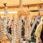 Koper Stroll & Taste - What You’ll See and Do