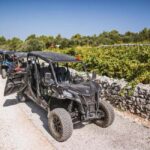 Korcula Buggy Safari With Wine Tasting - What Makes This Tour Stand Out