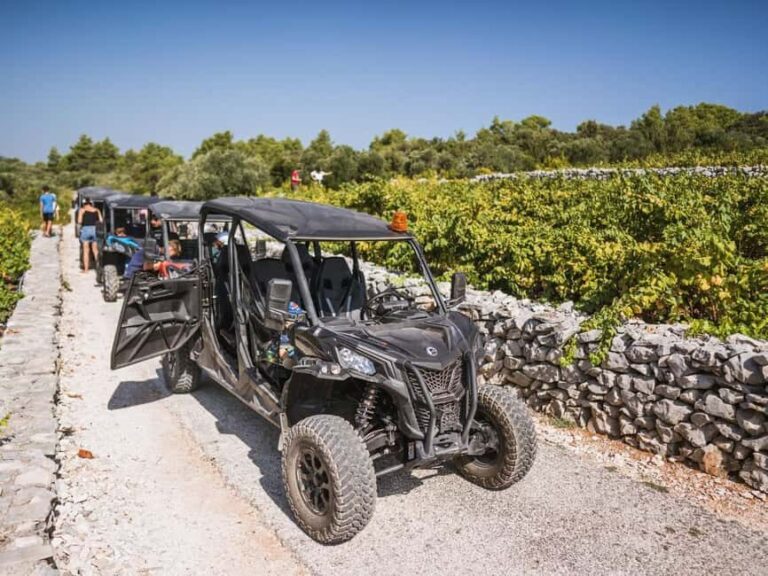 Korcula Buggy Safari With Wine Tasting - What Makes This Tour Stand Out