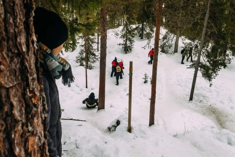 Korouoma Canyon: Frozen Waterfalls Hike & BBQ Experience - The Highlights in Detail